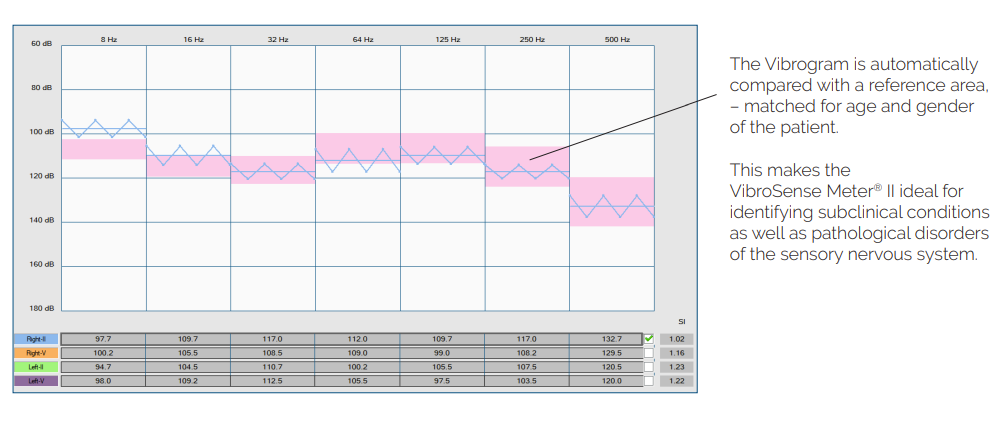 VibroSense Meter II - Fu Kang Online Store VibroSense Meter II - Fu Kang Online Store